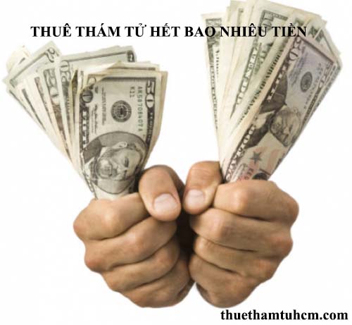 những vấn đề thường gặp khi thuê thám tử - Giá thuê thám tử